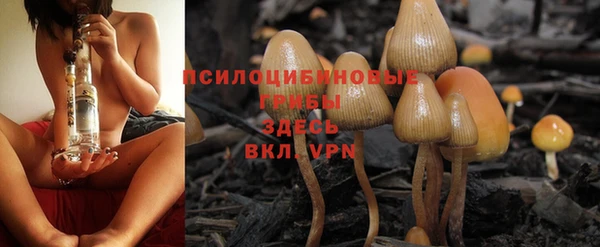 мдма Заводоуковск