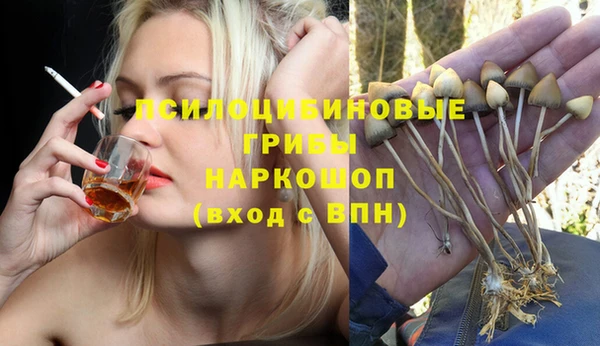 мдма Заводоуковск