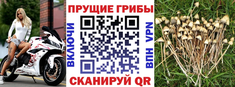 Купить  Мелеуз  Псилоцибиновые грибы мухоморы 